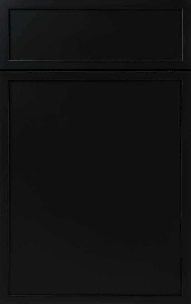 Kingston Slim Shaker Black